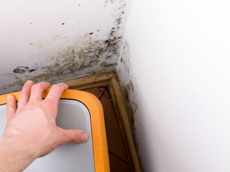 Signs Your Basement Needs Waterproofing