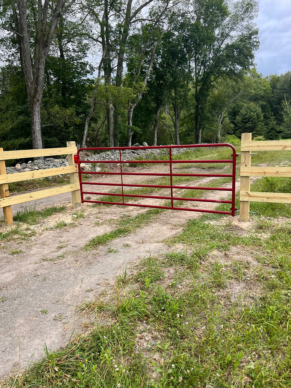 Munoz Fencing70.jpeg