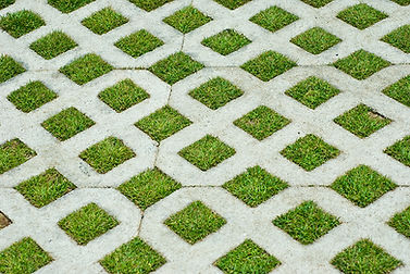 Grass Grid Pattern