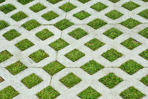 Grass grid
