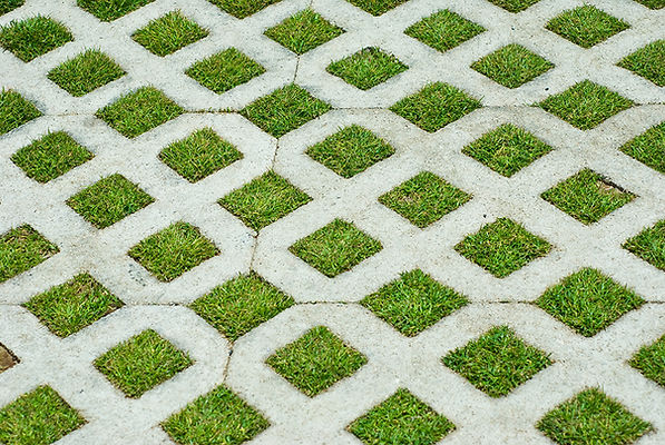 Grass grid