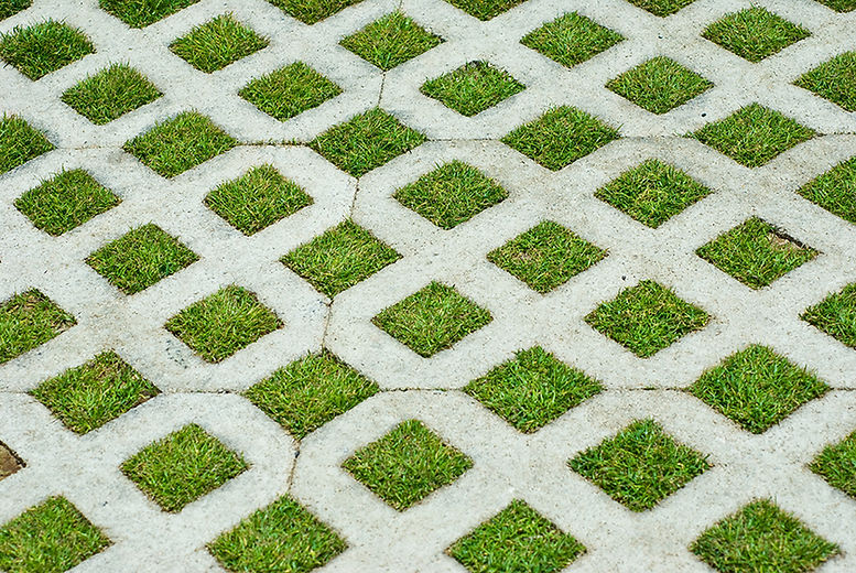 Grass grid