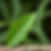Depth 7, Frame 0