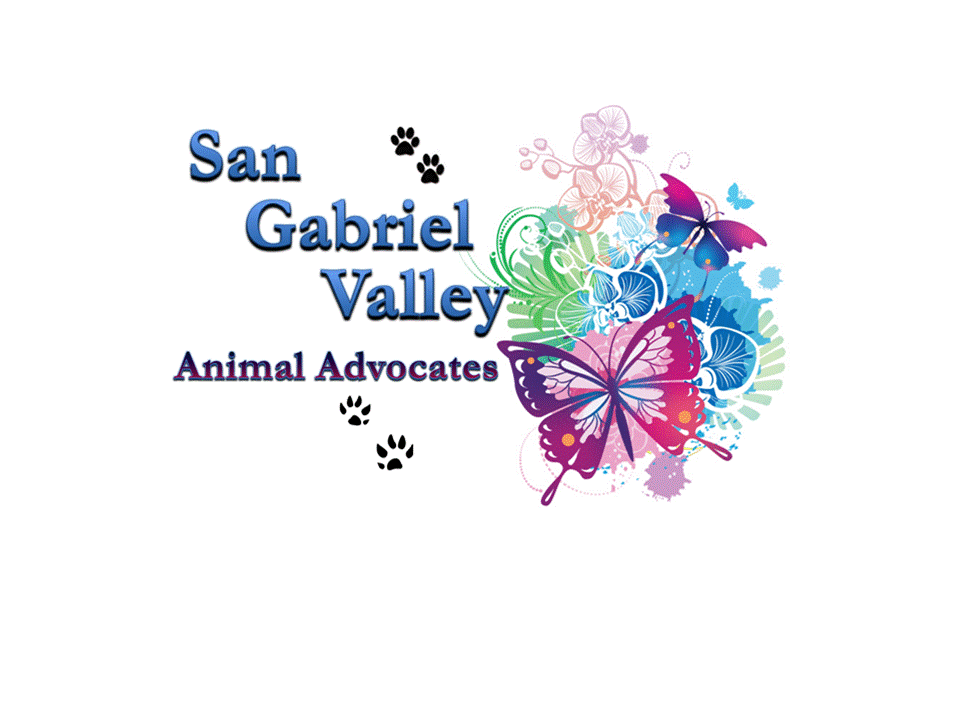logo.gif
