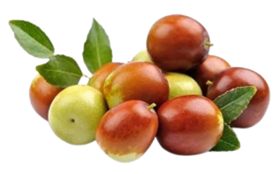 Jojoba.png