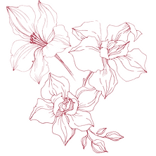 Orq4a.png