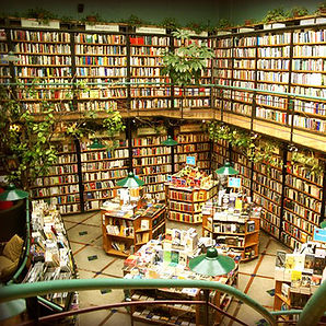 local-experts-mexico-city-best-bookstore