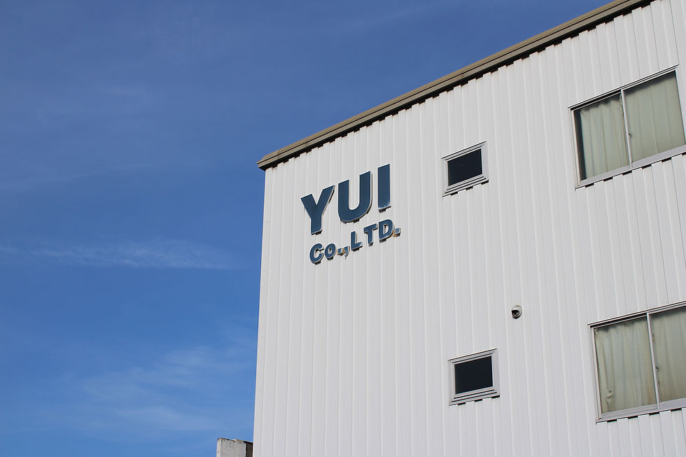 Yui1