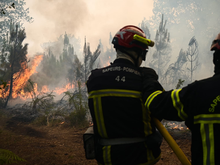 Incendies de bord de route : « Il y a une population qui n’a pas compris »… le ras-le-bol des pompiers face au fléau des mégots