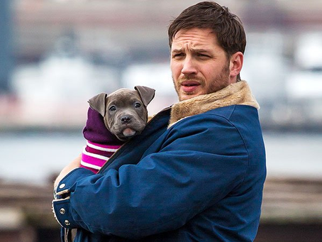 “He Was My Lifeline” Tom Hardy Breaks Hearts with Emotional Tribute to His Beloved Dog