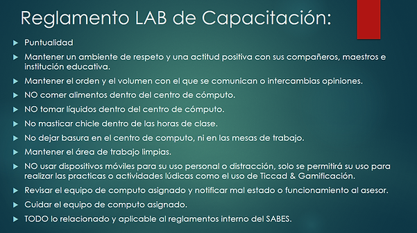 Diapositiva4.PNG