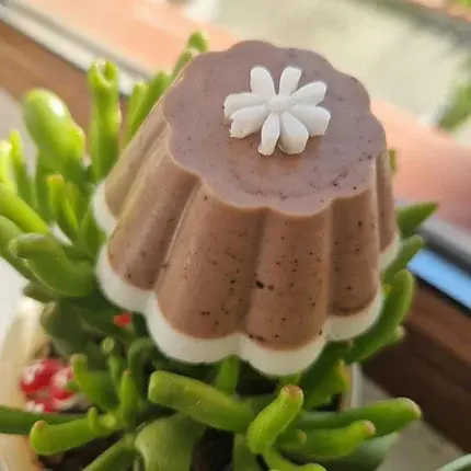 Pudding with coconut and chocolate