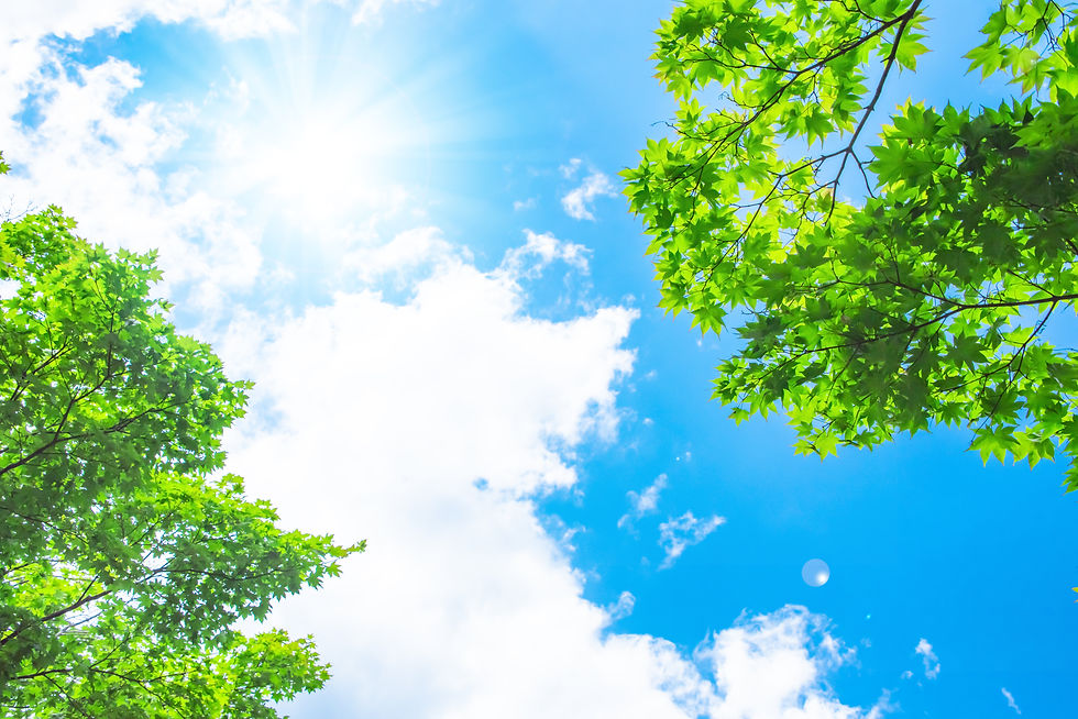 AdobeStock_256164454.jpeg