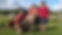 DkLVhMQZS5QmO628B0Fg_1653068_1_articlesmall_ie-414487_8f90193795be431dbf37d461daa54d5c.jpe