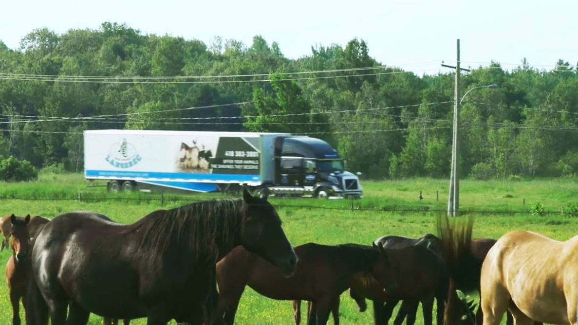 Untitled design (8).jpg