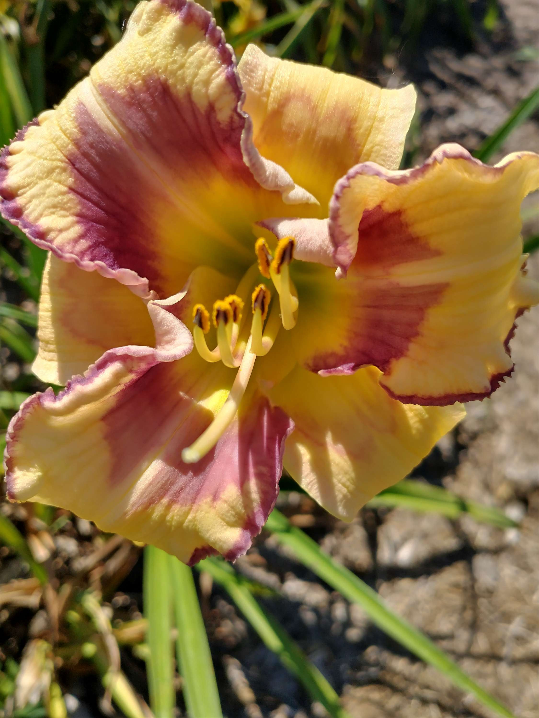 Appropriately Complex