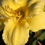 Thumbnail: Beauty to Behold