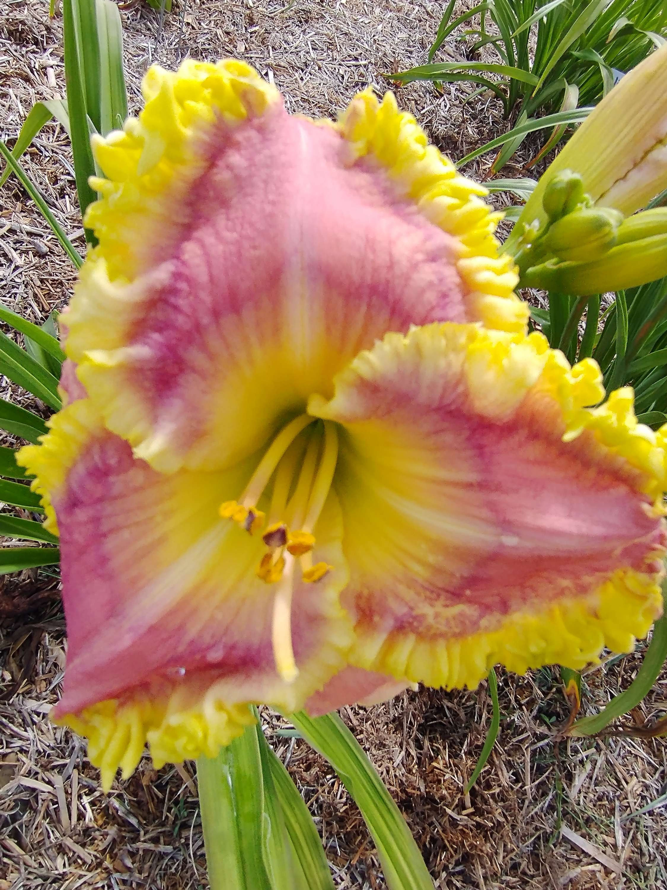 Secret Family Recipe