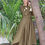 Thumbnail: Olive maxi