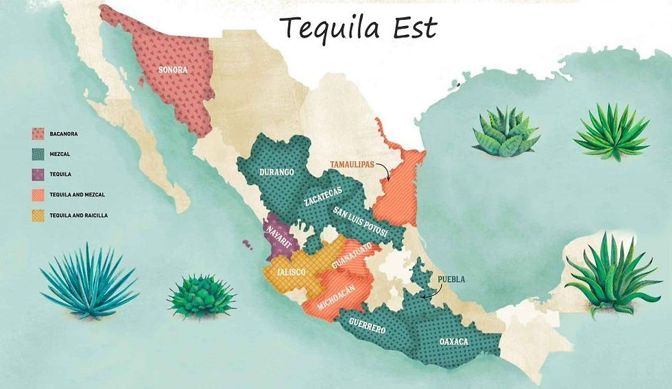 Tequila / Mezcal Est - 19:00