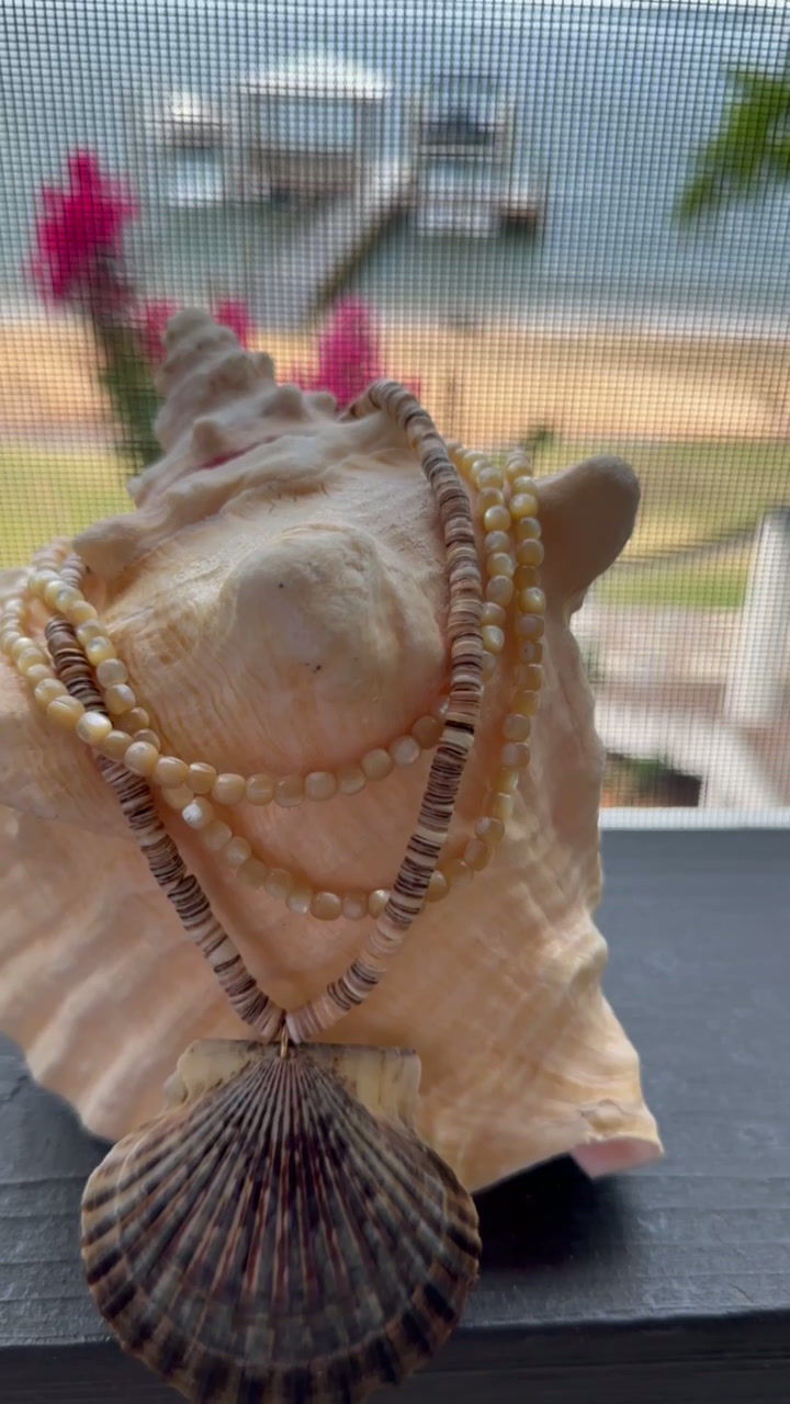 Thumbnail: Harbor Scallop Necklace