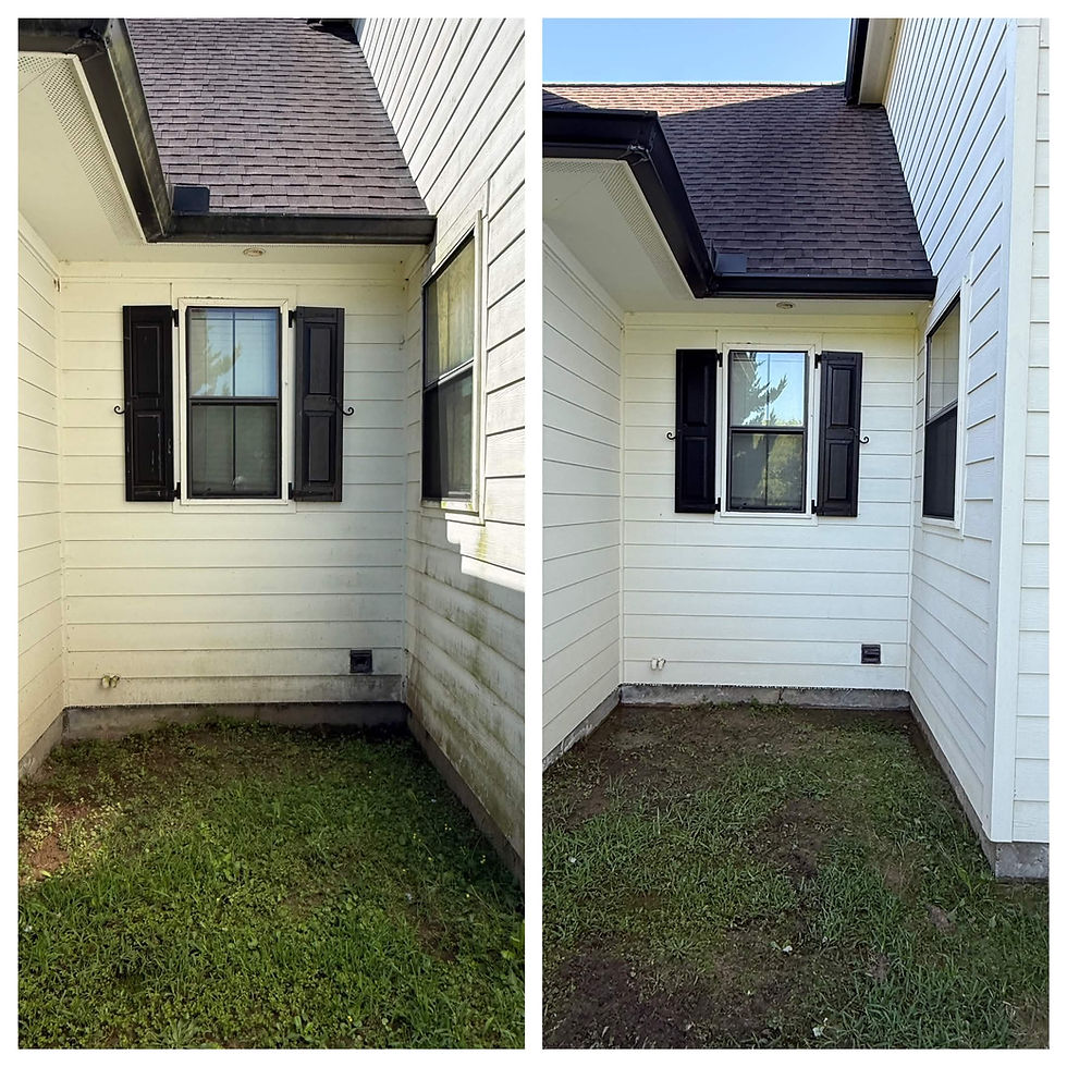 side house before n after.jpg