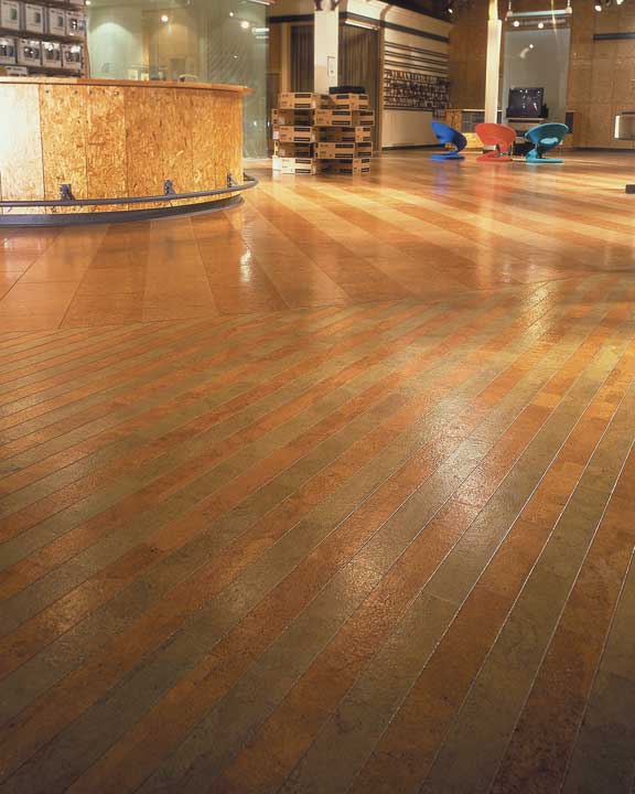 Eco Friendly Flooring Options
