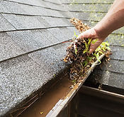 Cleaning a Rain Gutter.jpg