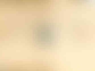 Certificat d'apprenti Armand Klein dit ici Louis Piel