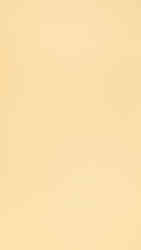 Lettre entre amoureux - 2