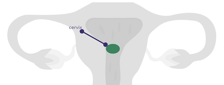 PNCollateral (11 × 8.5 in) (1).png