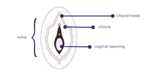 PNCollateral (11 × 8.5 in) (4).png