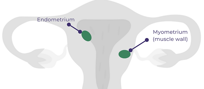 PNCollateral (11 × 8.5 in).png