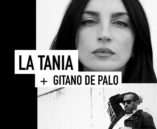 artistas web -15.jpg