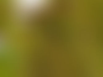 See You at RoWine 2025 – Where Wine Meets the Future in Bucharest