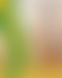 Freschi&Bufano Wine Merchants Co. sbarca in Brasile: appuntamento a São Paulo perAnuga Brazil 2026