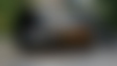 Sony A7R III review