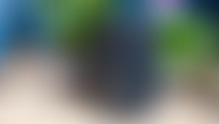 Sonos Move Review: Plenty Of Power In A Not-So-Small Package