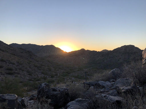 Saguaro in the Palm: Gratitude and the Mindfulness of Death