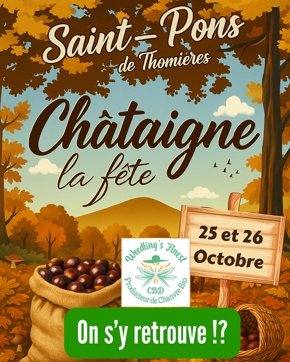 fête de la châtaigne