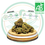 Miniature : Fleurs de Chanvre Bio CBD - Blueberry