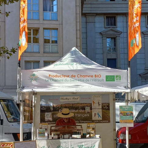 Markt in Antigone
