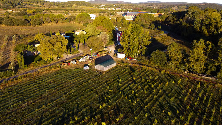 Domaine des garrigues d'Aspiran vu du ciel