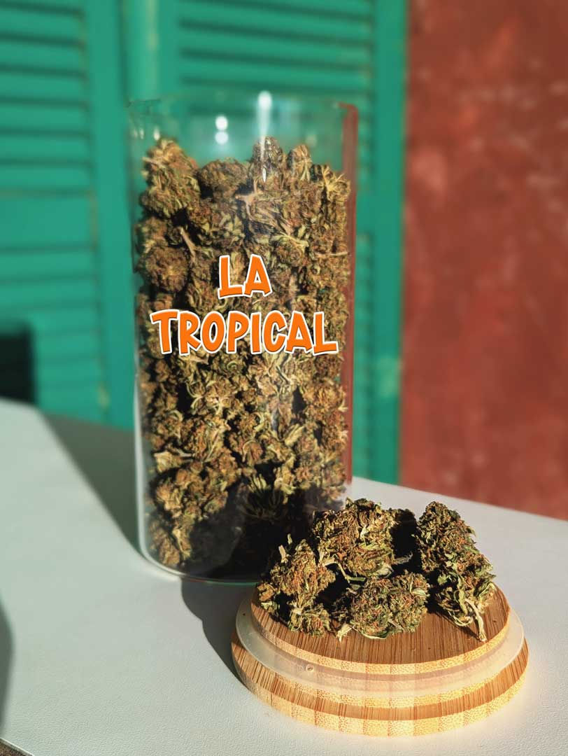 Thumbnail: Fleurs de Chanvre Bio CBD - La Tropicale