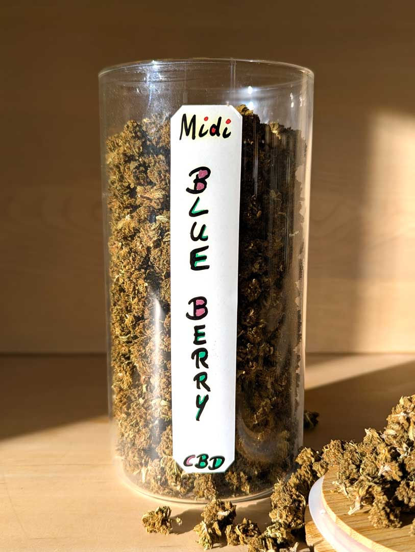 Miniature : Fleurs de Chanvre Bio CBD - Blueberry