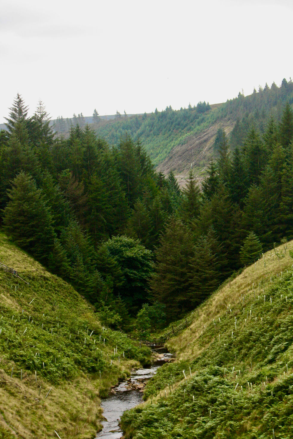 Snake Pass | August 2025