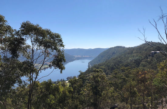 Hawkins Lookout