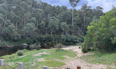Murray River