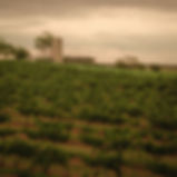 Hunter Valley