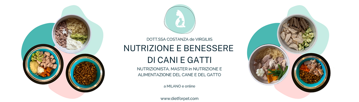 Intestazione dott.ssa Costanza de Virgiliis; ciotole dieta casalinga cane e gatto; ciotola cane; dietforpet; cbenesserepet